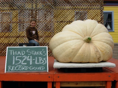 1st Place Pumpkin 2007.JPG